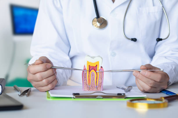 Best Emergency Dentist for Knocked-Out Tooth in Dock Junction, GA